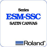 Roland ESM Canvas